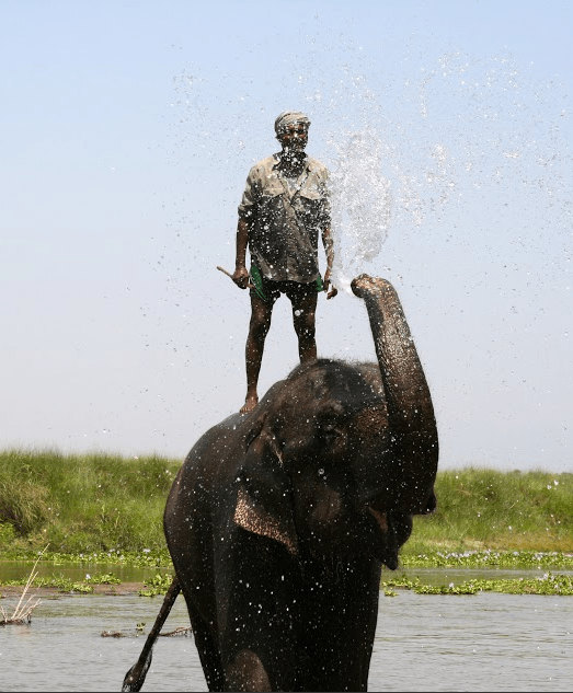 Screen Shot 2013-12-16 at 9.56.08 PM